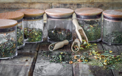 How to Choose the Best Herbal Supplements for Your Needs