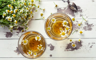 Discover How Herbs Improve Your Sleep: Benefits and Uses