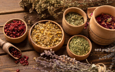Herbal Solutions for Better Sleep