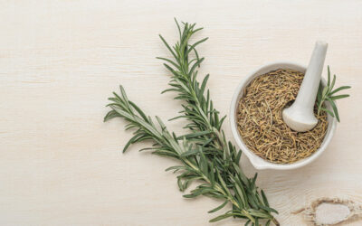 Herbs to Boost Brain Health: What You Should Know