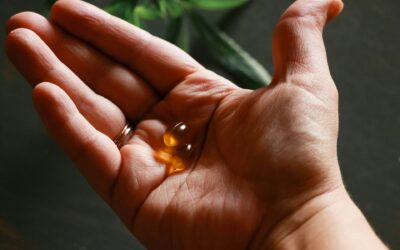 Strengthening Your First Line of Defense with Fall Immune Support