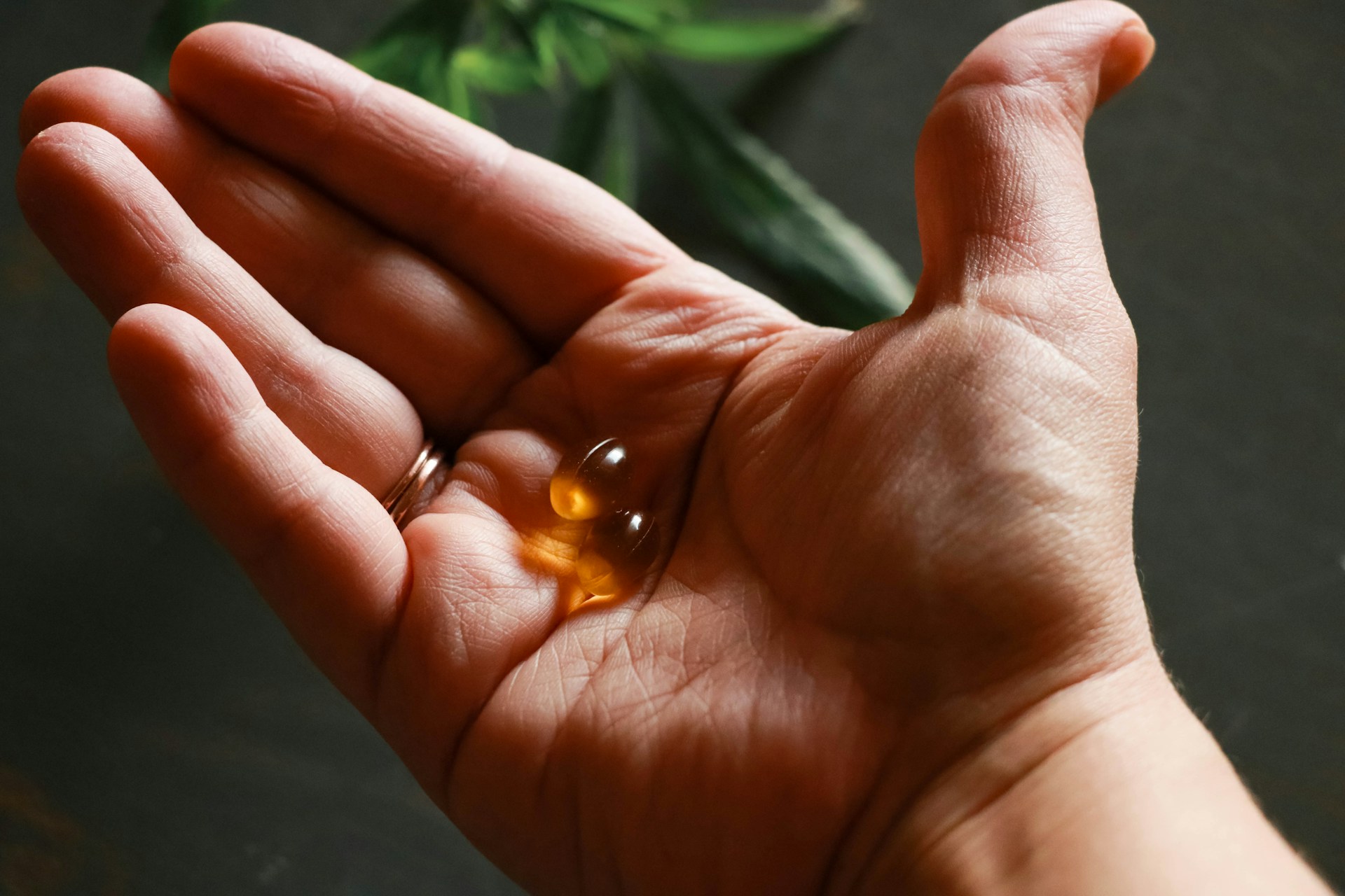 Strengthening Your First Line of Defense with Fall Immune Support