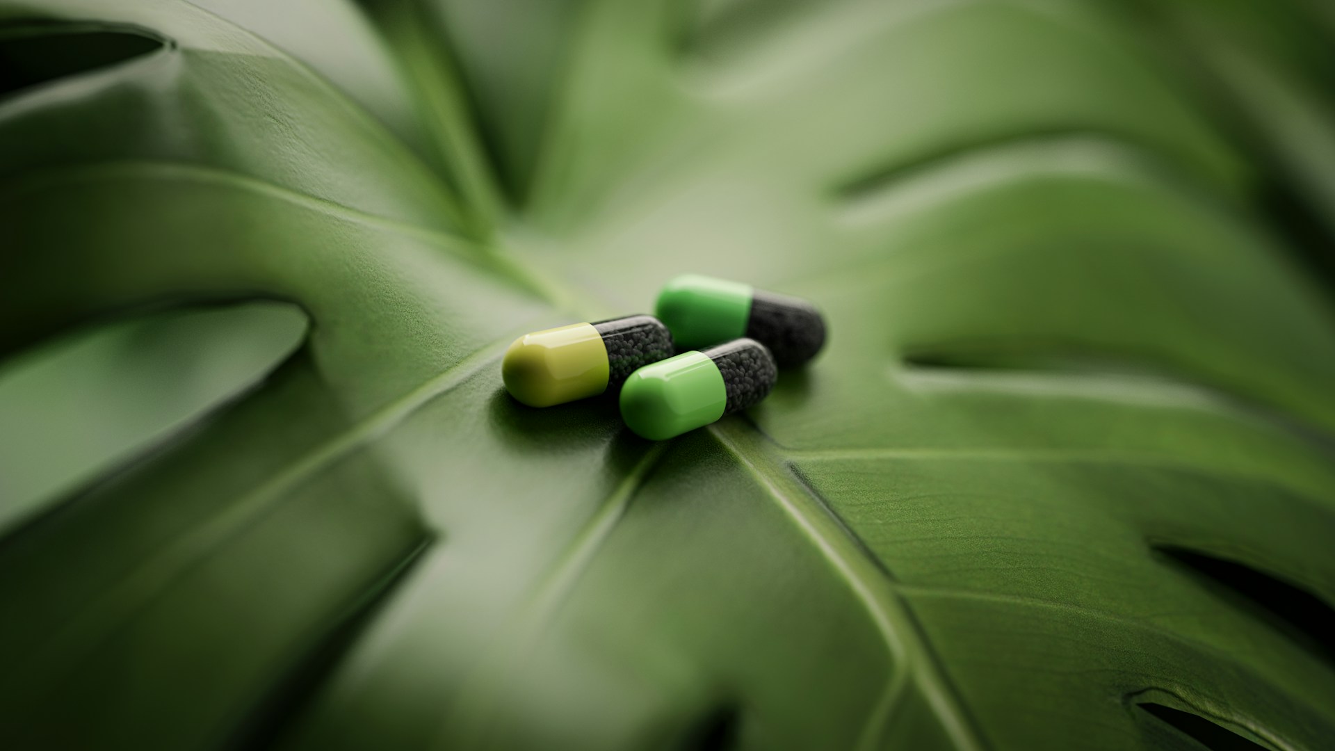 Which Herbal Supplements Actually Help with Ragweed Allergies?